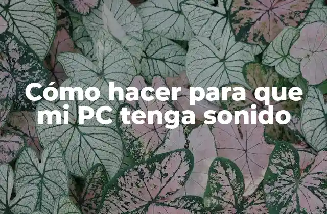 Cómo Hacer para que Mi Pc Tenga Sonido