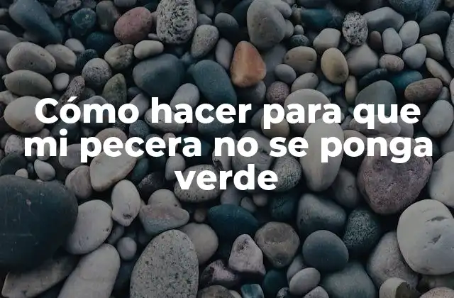 Cómo Hacer para que Mi Pecera No Se Ponga Verde