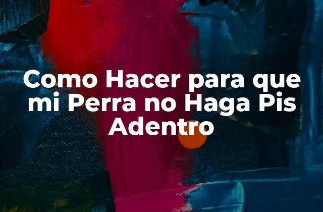 Como Hacer para que Mi Perra No Haga Pis Adentro