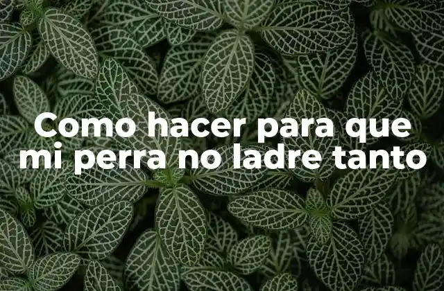 Como Hacer para que Mi Perra No Ladre Tanto