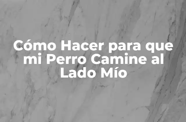 Cómo Hacer para que Mi Perro Camine Al Lado Mío