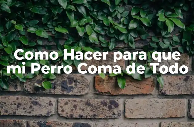 Como Hacer para que Mi Perro Coma de Todo