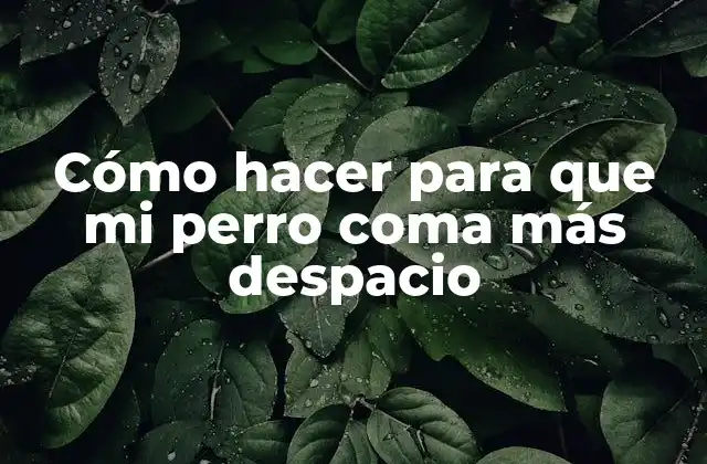 Cómo Hacer para que Mi Perro Coma Más Despacio
