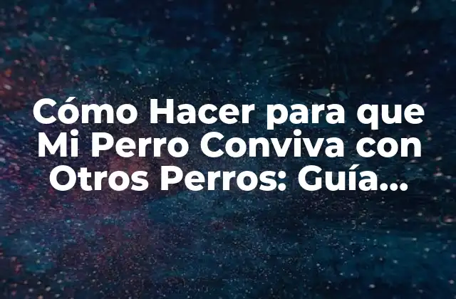 Cómo Hacer para que Mi Perro Conviva con Otros Perros: Guía Práctica y Efectiva