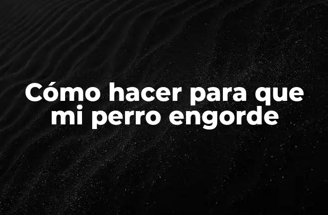 Cómo Hacer para que Mi Perro Engorde