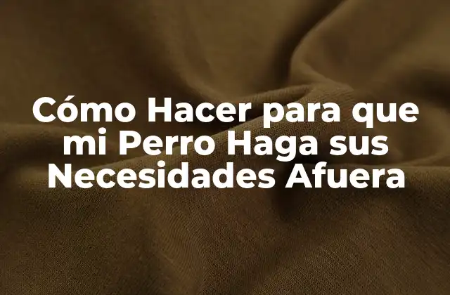 Cómo Hacer para que Mi Perro Haga Sus Necesidades Afuera