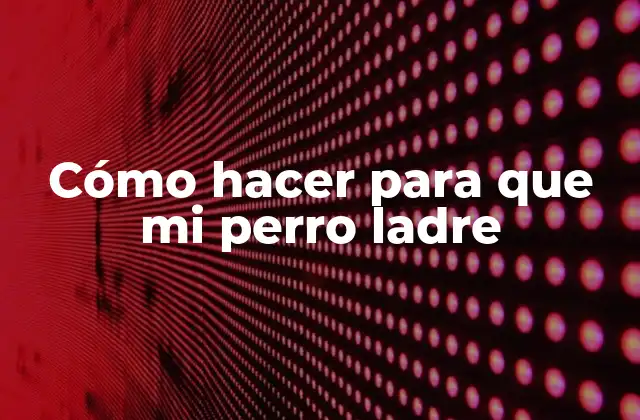 ¿Qué es el ladrido de un perro y para qué sirve?