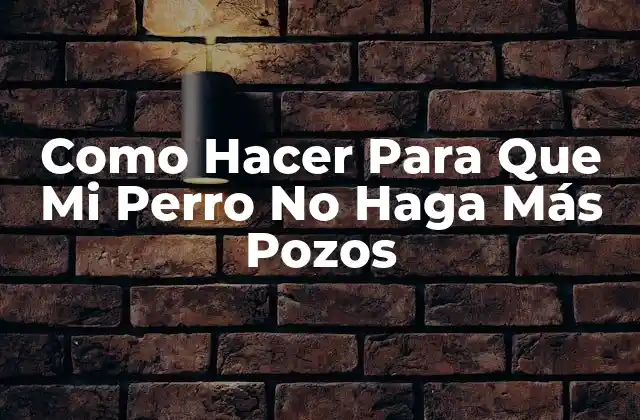 Como Hacer para que Mi Perro No Haga Más Pozos