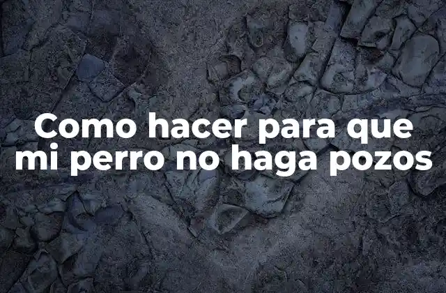 Como Hacer para que Mi Perro No Haga Pozos