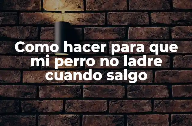 Como Hacer para que Mi Perro No Ladre Cuando Salgo