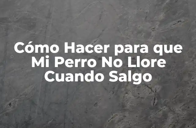 Cómo Hacer para que Mi Perro No Llore Cuando Salgo