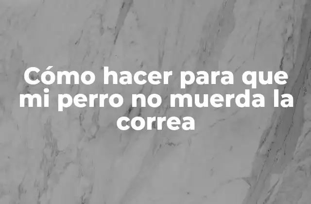 Cómo Hacer para que Mi Perro No Muerda la Correa
