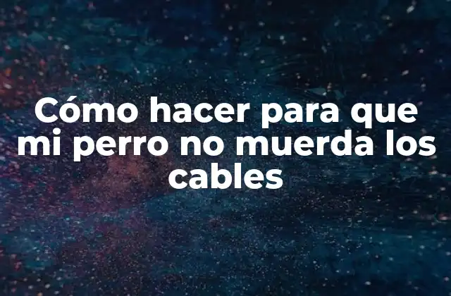 Cómo Hacer para que Mi Perro No Muerda los Cables