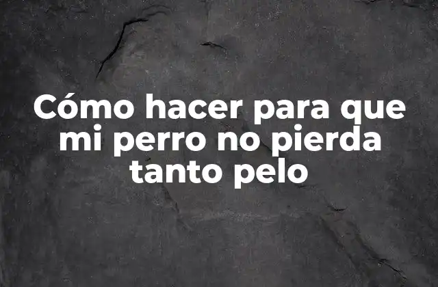 ¿Qué es la caída del pelo en perros y por qué ocurre?