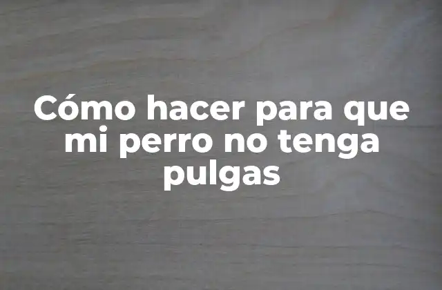 Cómo Hacer para que Mi Perro No Tenga Pulgas