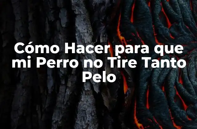 Cómo Hacer para que Mi Perro No Tire Tanto Pelo