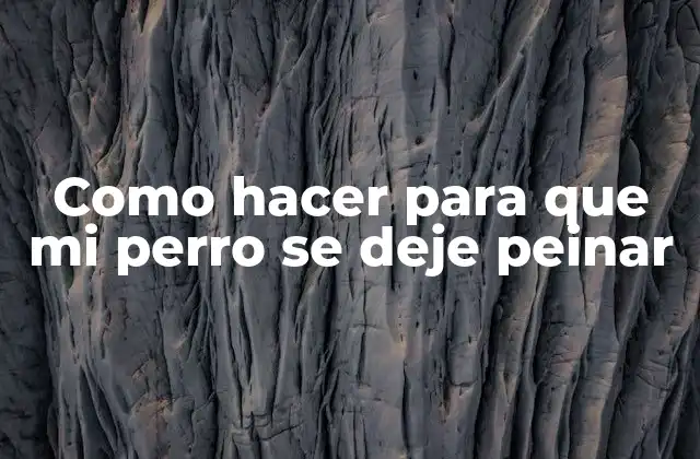 ¿Qué es el peinado canino?