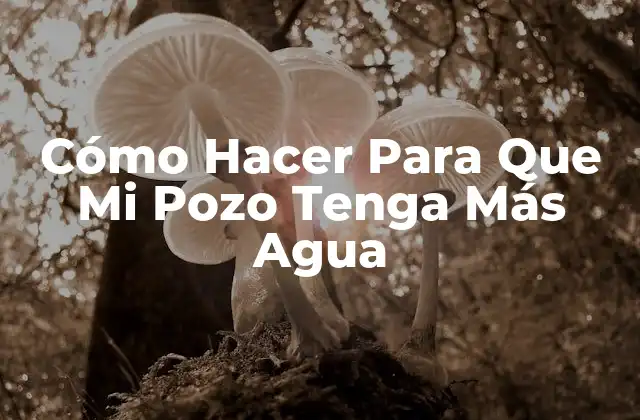 Cómo Hacer para que Mi Pozo Tenga Más Agua