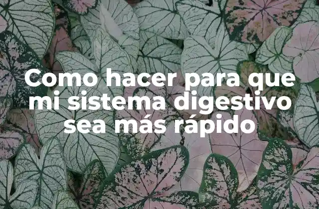 Como Hacer para que Mi Sistema Digestivo Sea Más Rápido