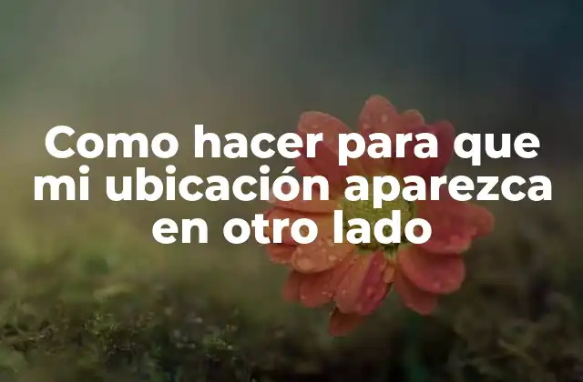 Como Hacer para que Mi Ubicación Aparezca en Otro Lado