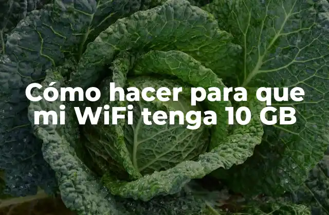 Cómo Hacer para que Mi Wifi Tenga 10 Gb