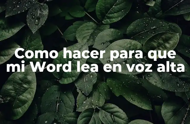 Como Hacer para que Mi Word Lea en Voz Alta