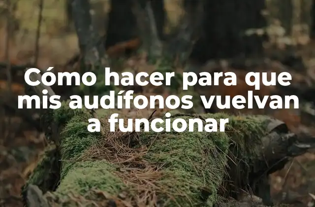 Cómo Hacer para que Mis Audífonos Vuelvan a Funcionar