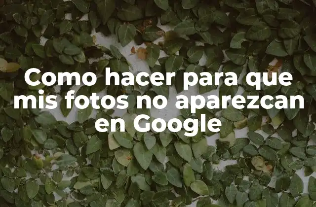 Como Hacer para que Mis Fotos No Aparezcan en Google