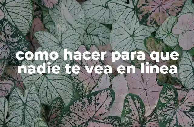 Como Hacer para que Nadie Te Vea en Linea 2 como hacer para que nadie te vea en linea: ¿Qué es la privacidad en línea y por qué es importante?