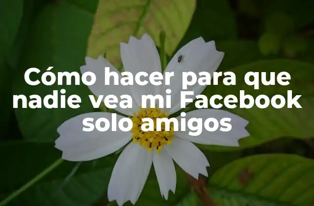 Cómo Hacer para que Nadie Vea Mi Facebook Solo Amigos