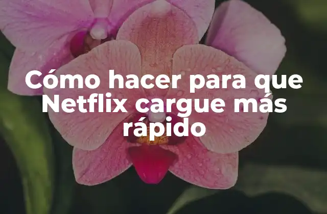 Cómo Hacer para que Netflix Cargue Más Rápido