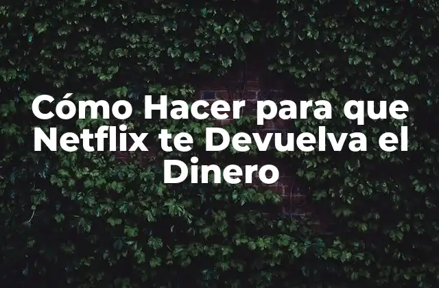 Cómo Hacer para que Netflix Te Devuelva el Dinero