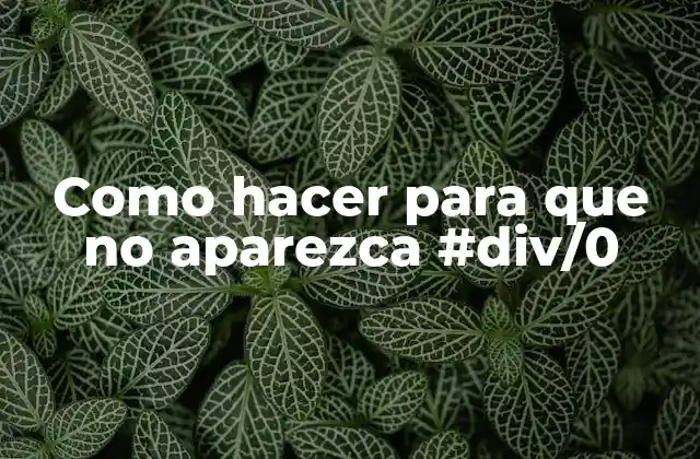 Como Hacer para que No Aparezca #div/0