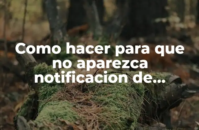 Como Hacer para que No Aparezca Notificacion de Whatsapp Web