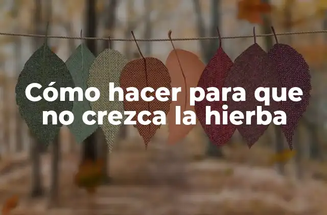 Cómo Hacer para que No Crezca la Hierba