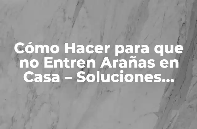 Cómo Hacer para que No Entren Arañas en Casa – Soluciones Efectivas