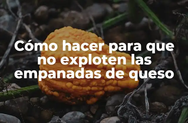 Cómo Hacer para que No Exploten las Empanadas de Queso