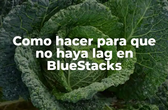 Como Hacer para que No Haya Lag en Bluestacks