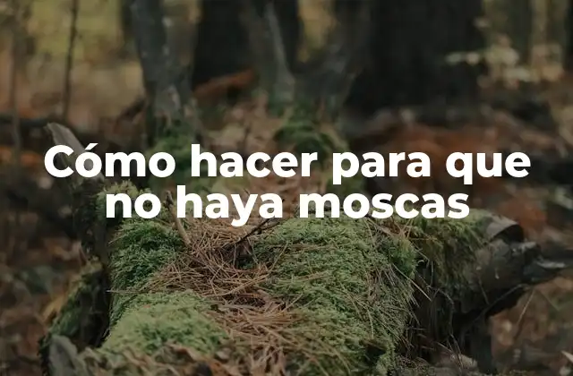 Cómo hacer para que no haya moscas