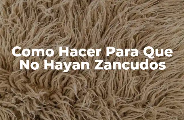 Como Hacer para que No Hayan Zancudos