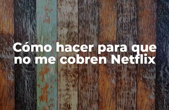 Cómo Hacer para que No Me Cobren Netflix