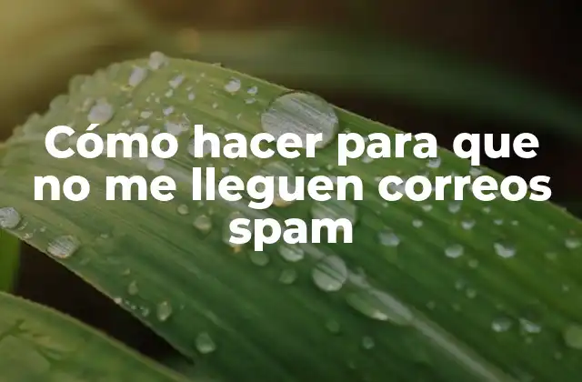 Cómo Hacer para que No Me Lleguen Correos Spam