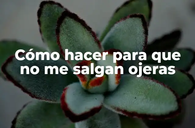 Cómo Hacer para que No Me Salgan Ojeras