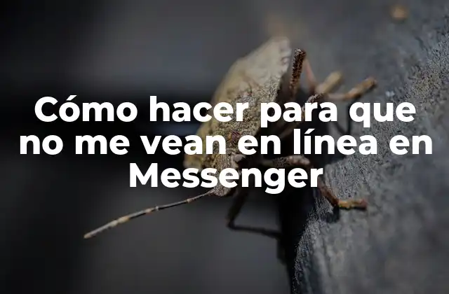 Cómo Hacer para que No Me Vean en Línea en Messenger