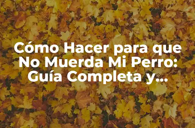 Cómo Hacer para que No Muerda Mi Perro: Guía Completa y Actualizada