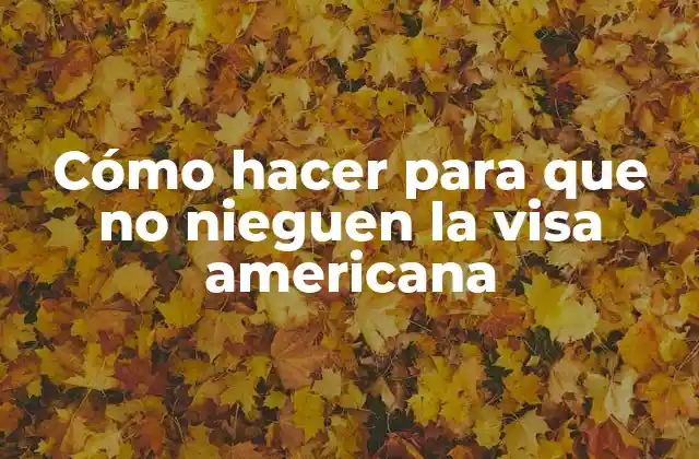 Cómo Hacer para que No Nieguen la Visa Americana