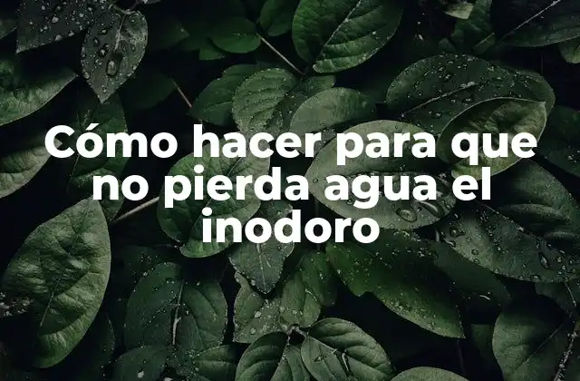 Cómo Hacer para que No Pierda Agua el Inodoro