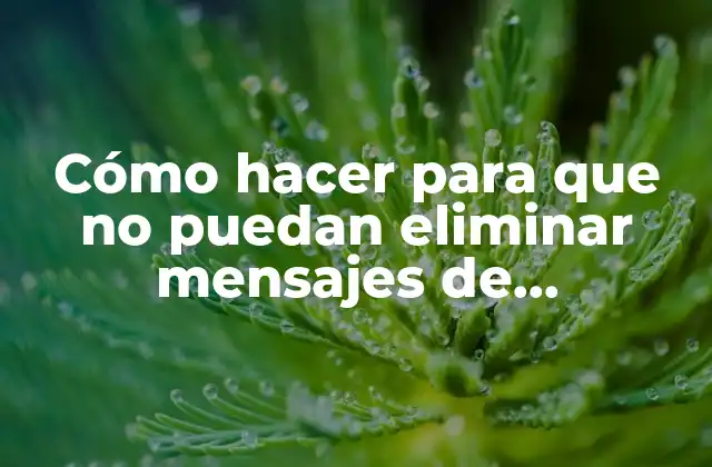 Cómo Hacer para que No Puedan Eliminar Mensajes de Whatsapp