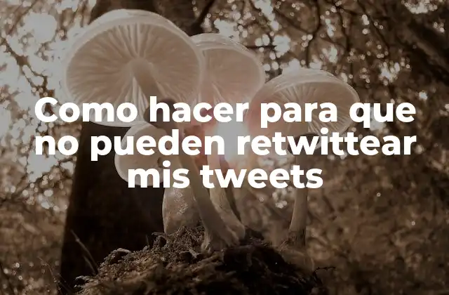 Como Hacer para que No Pueden Retwittear Mis Tweets 2 Proteger tus tweets de retweets no deseados