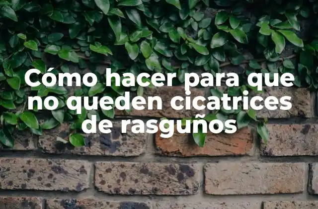 Cómo Hacer para que No Queden Cicatrices de Rasguños